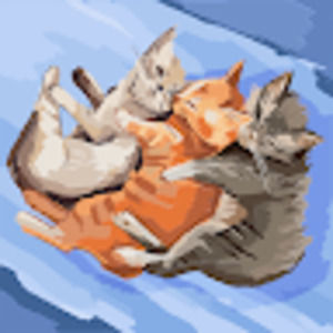 Meet your Posher, Michelle f